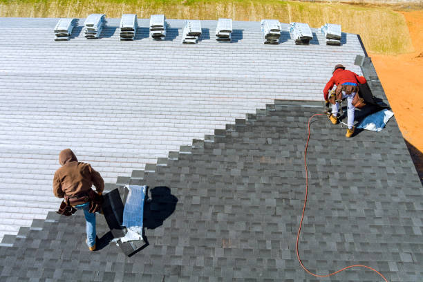 Best Roof Restoration Services  in Homeland, GA