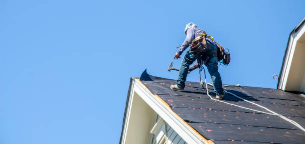 Best Gutter Installation and Roofing  in Homeland, GA